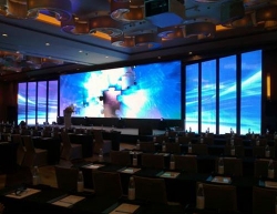 TIKTOK国际版色板